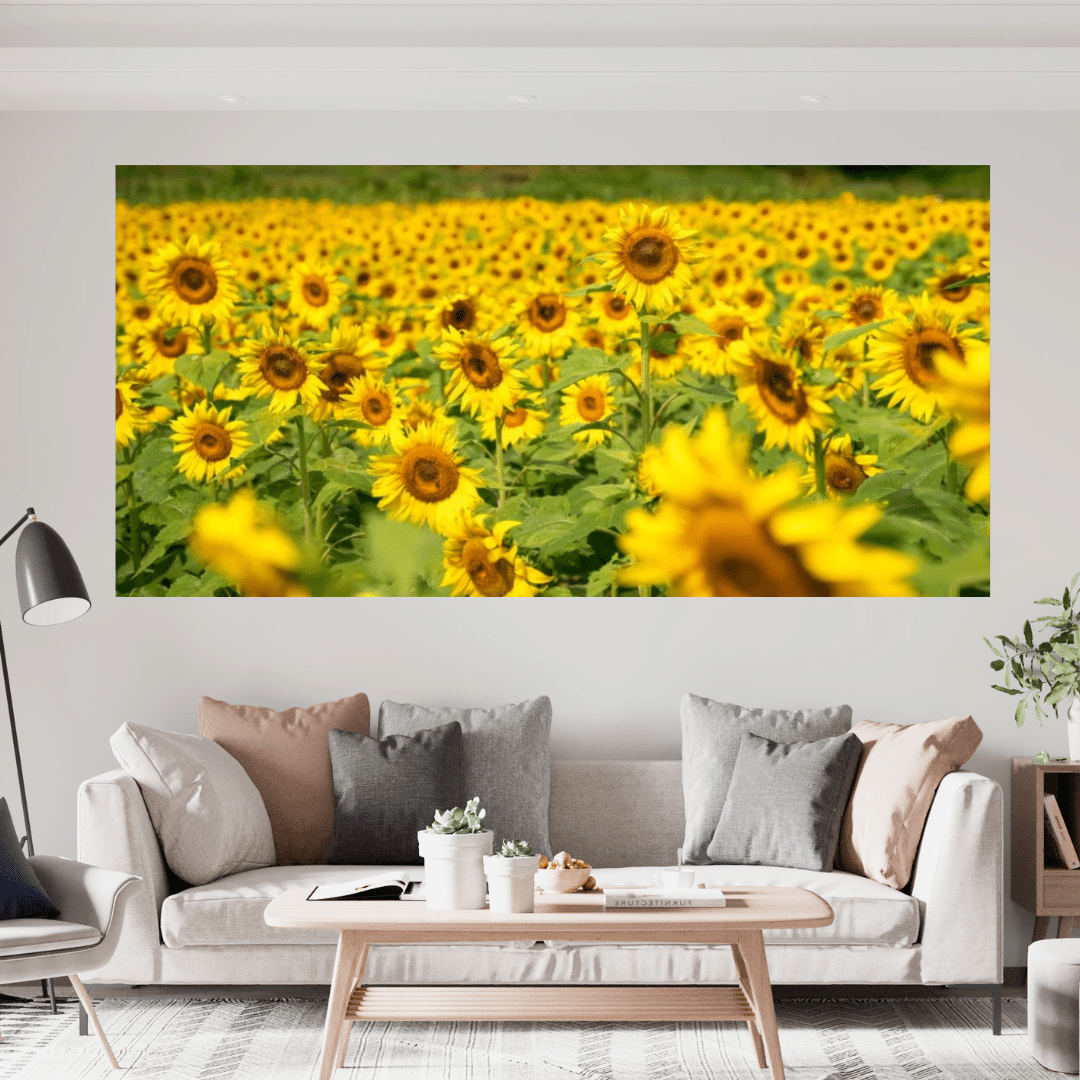 Sunflowers