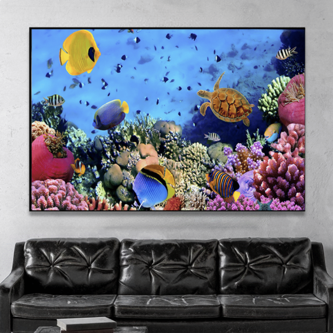 Coral reef