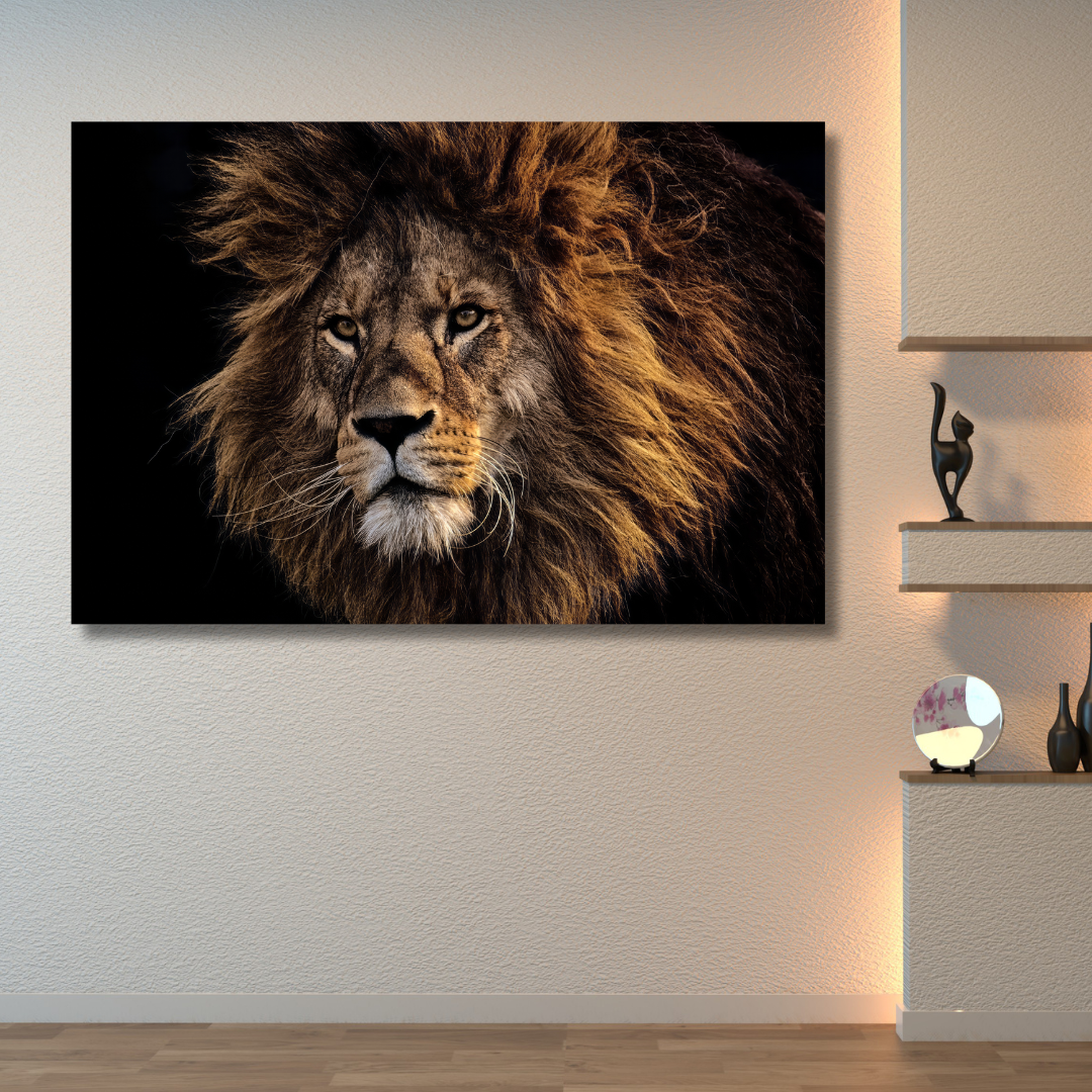 King Lion