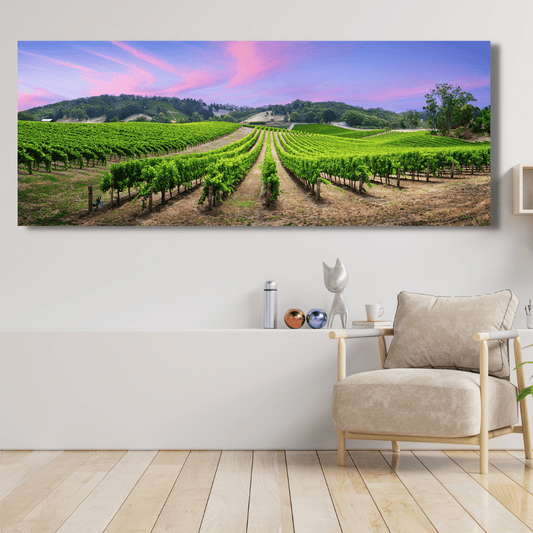Vigneti in Collina