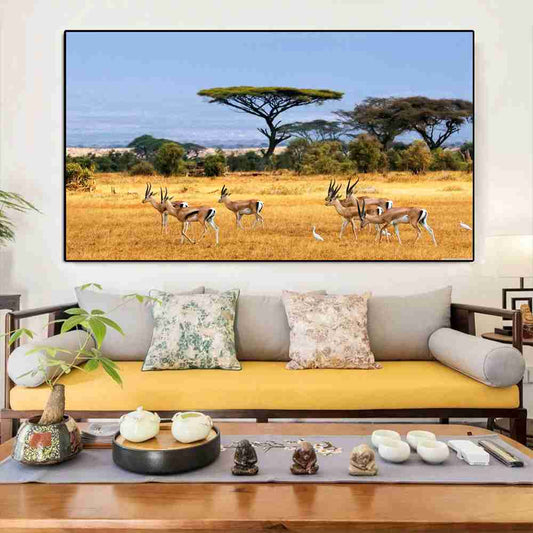 Impala in Africa