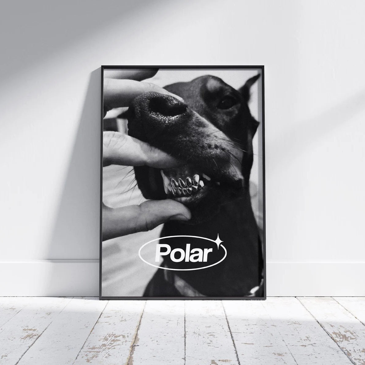 Polar Bite