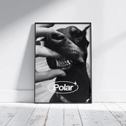 Polar Bite
