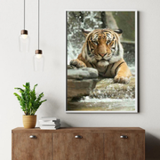 Tigre in Acqua