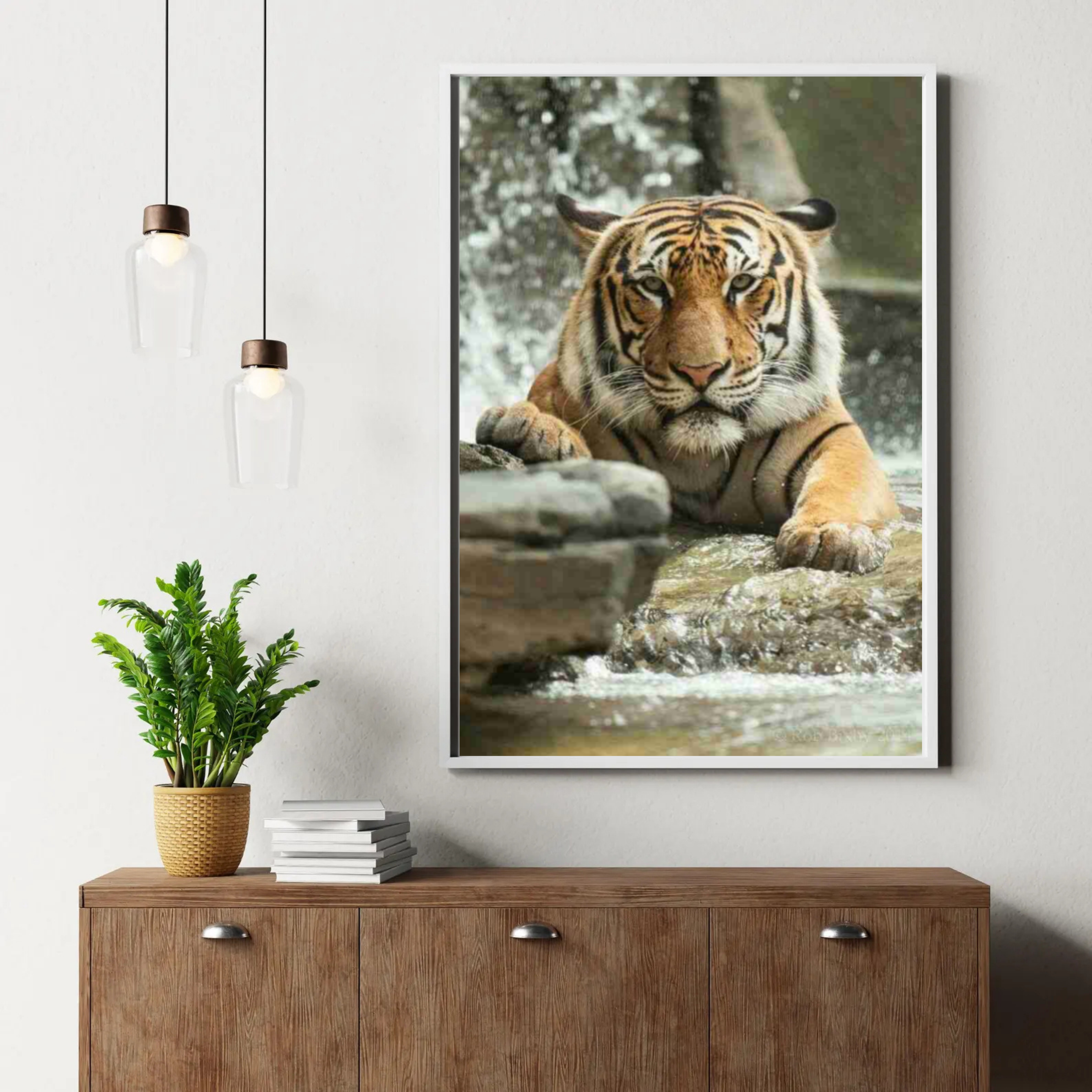 Tigre in Acqua