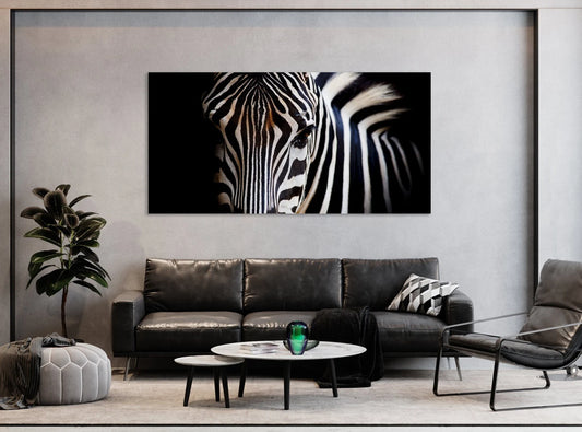 Look of a zebra